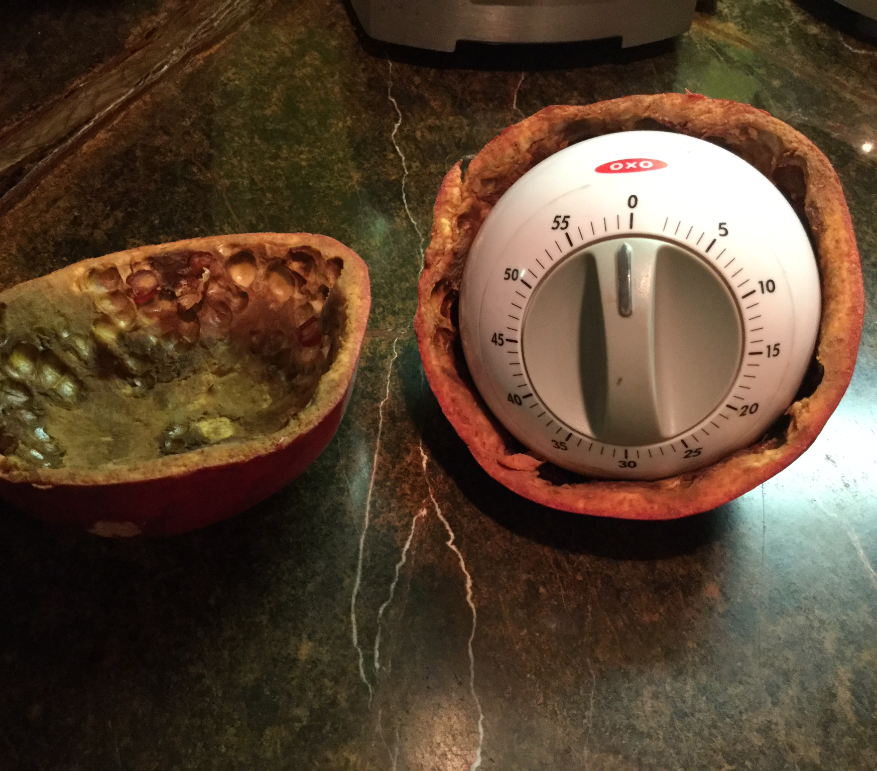 DIY Pomegranate Alarm Prank