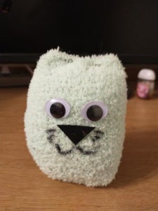 Review Your Cat-sock