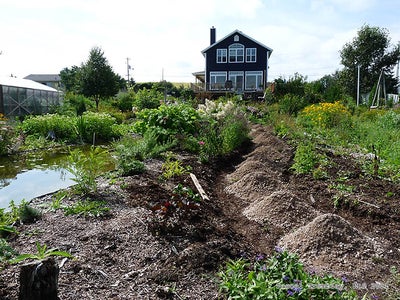 Garden Paths and Garden Walkways - DIY Guide
