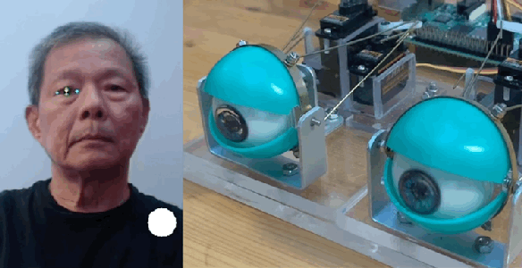 Control Robotic Eyes With My Eyes Using AI and Deep Learning