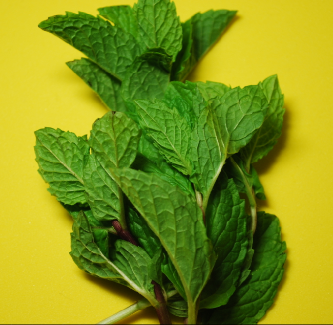 Cool Cucumber Smoothie