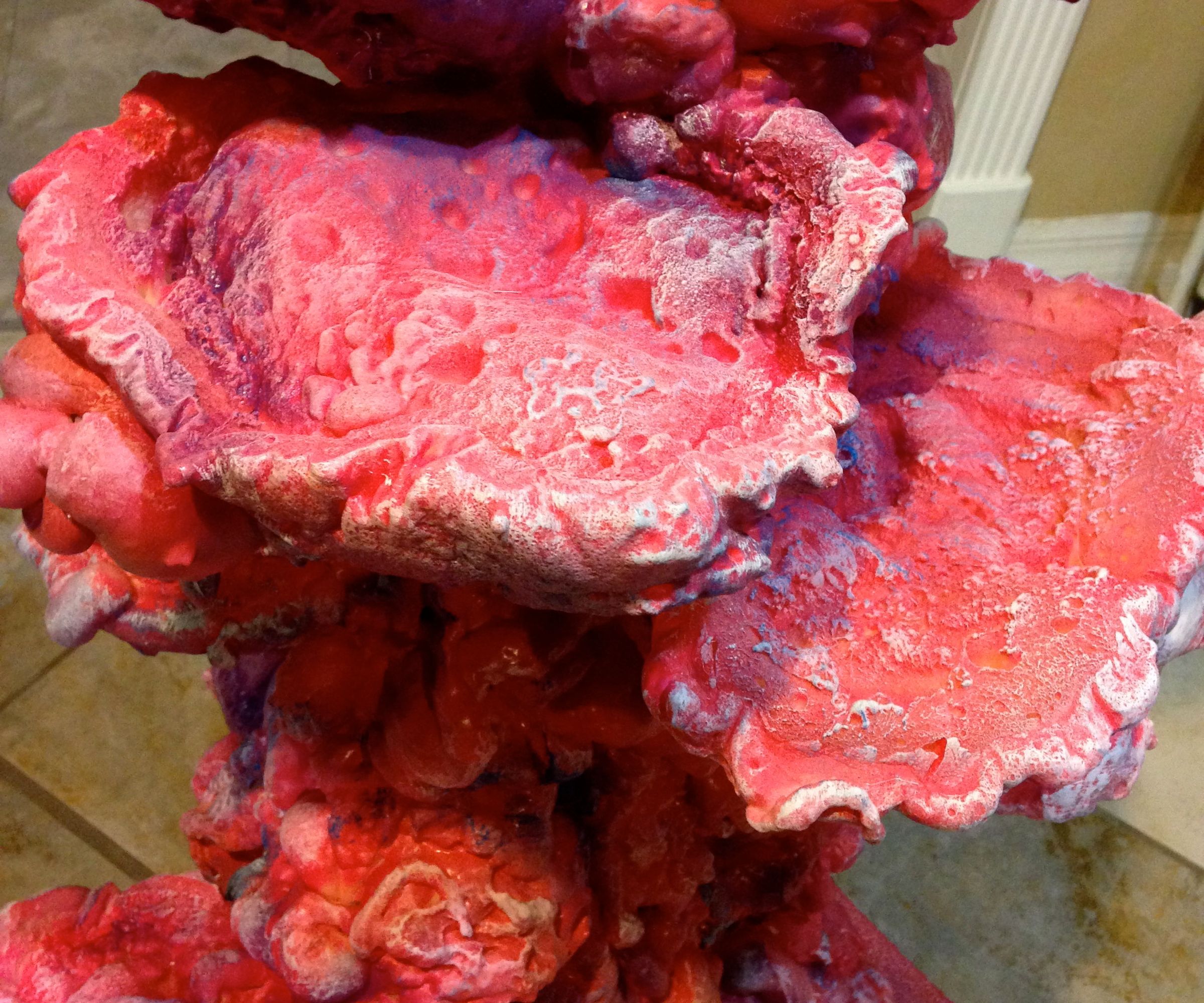 Spray Foam Coral
