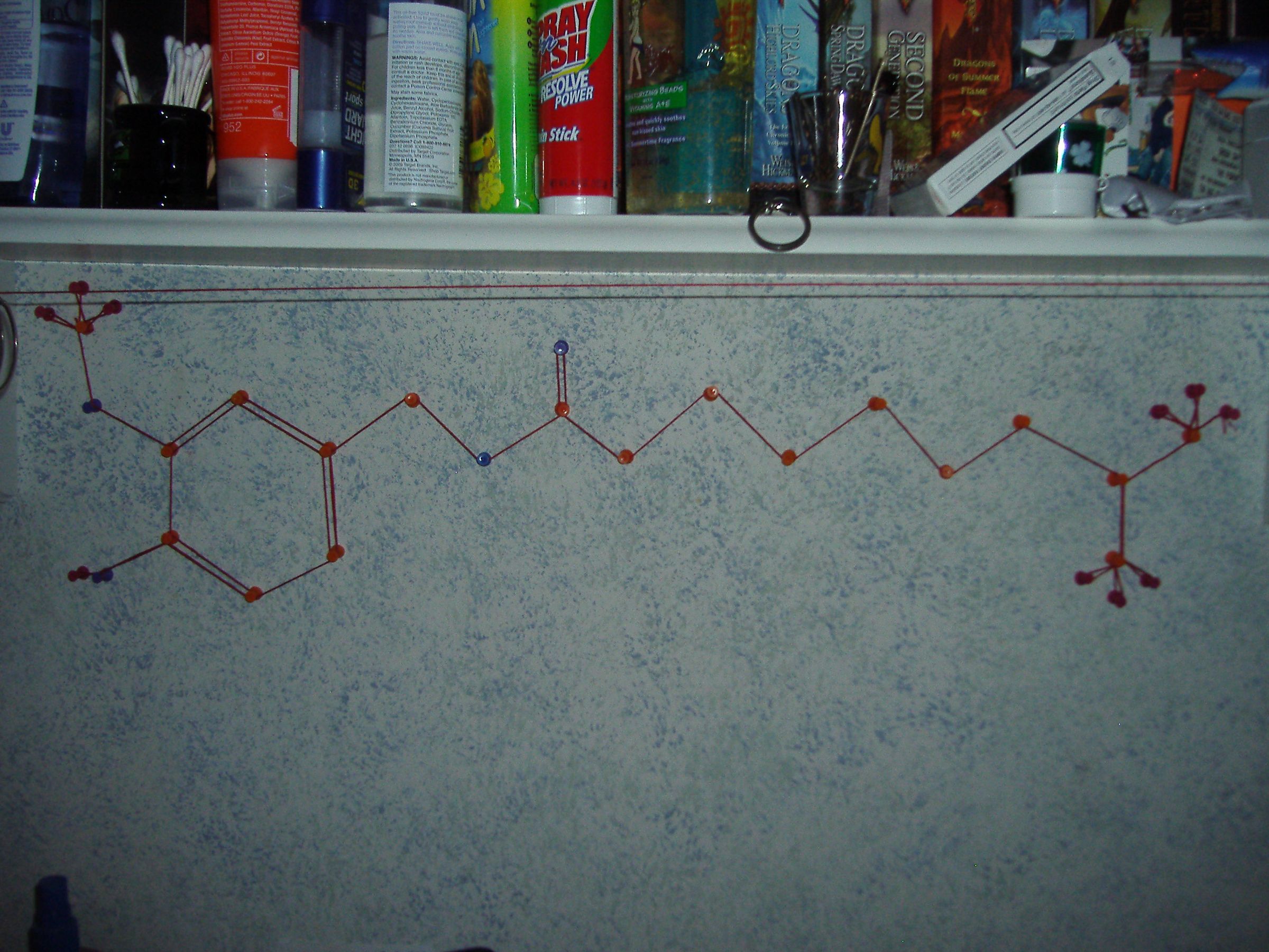 Pushpin Wall Art and Bonus Organizer