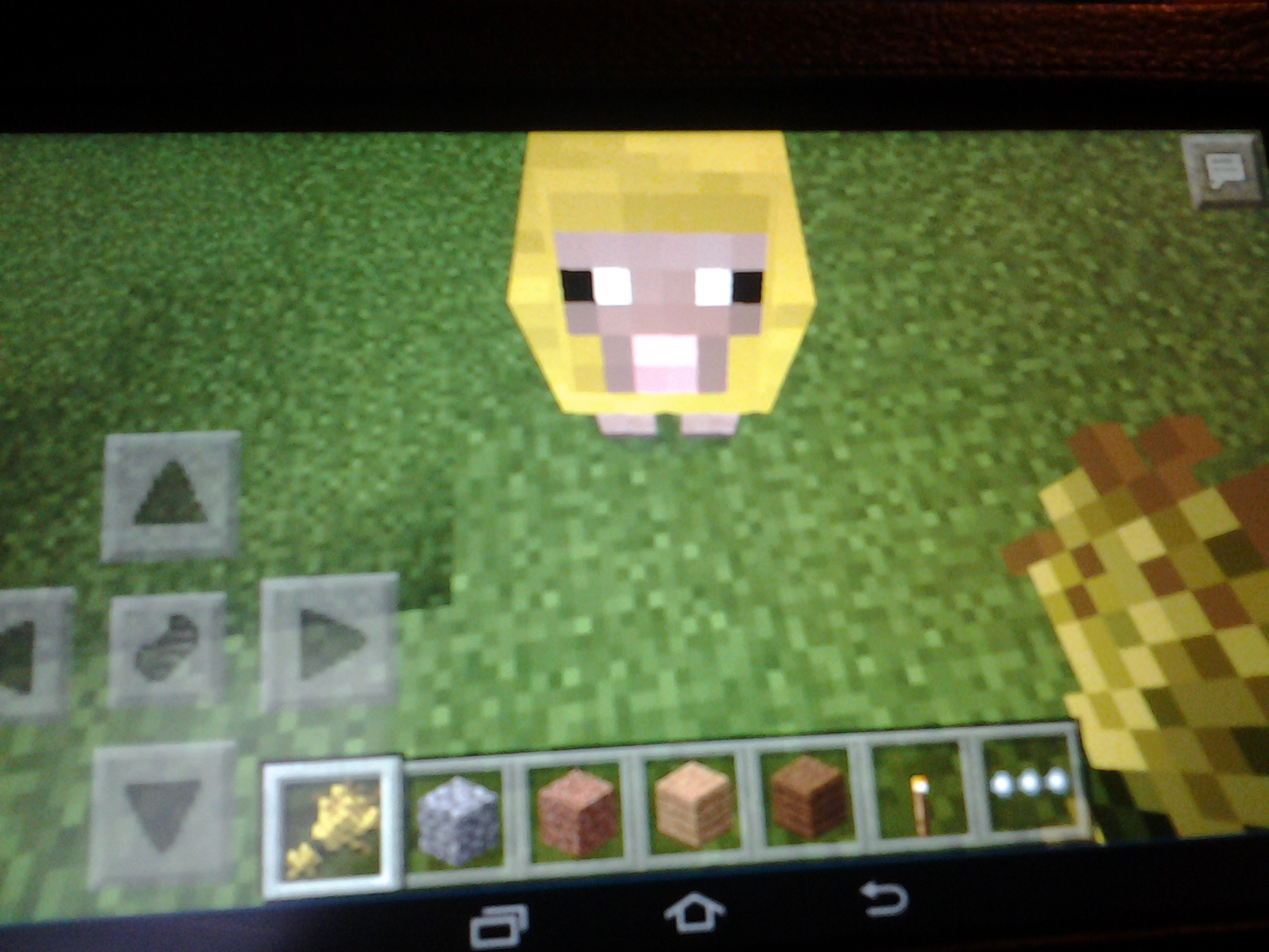 Mincraft Golden Sheep