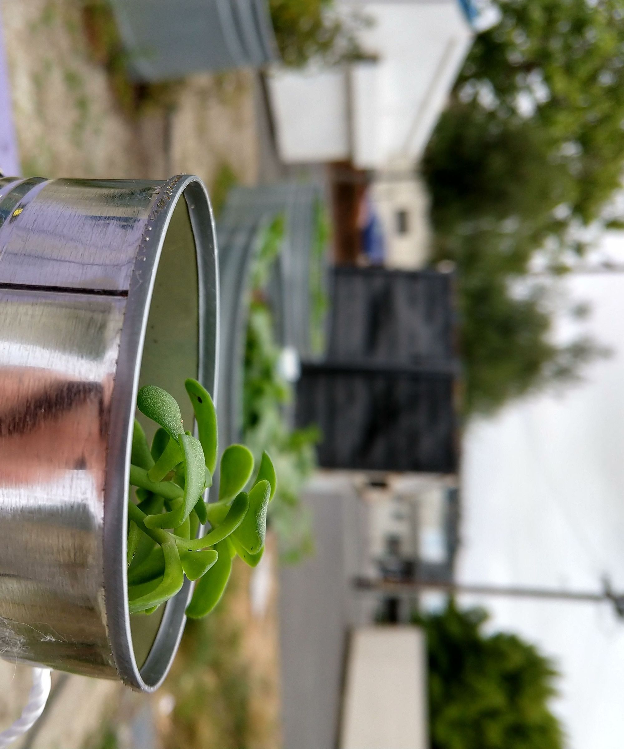 How to Make a Coffee Can Planter!