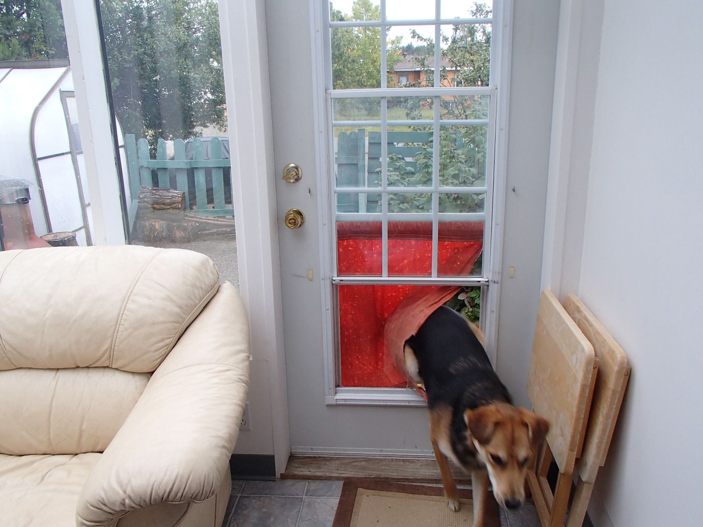 Dual Duty Doggie Door 4 Steps (with Pictures) Instructables
