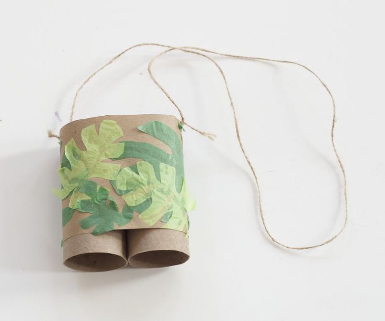 How to Make Toilet Paper Roll Binoculars 