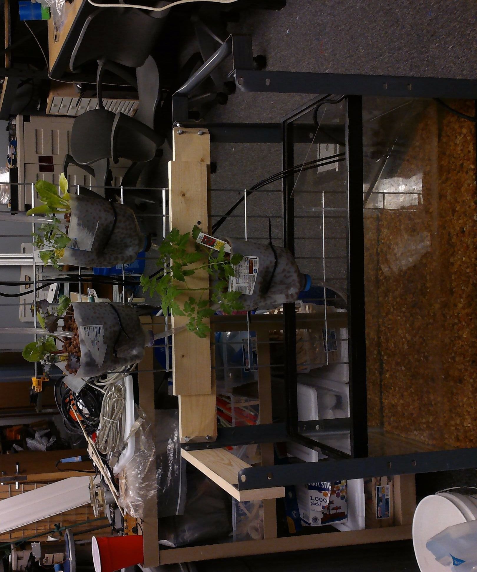 Aquaponics System