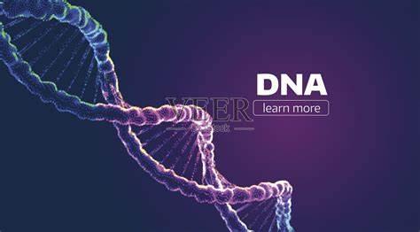 Study the Structure of DNA