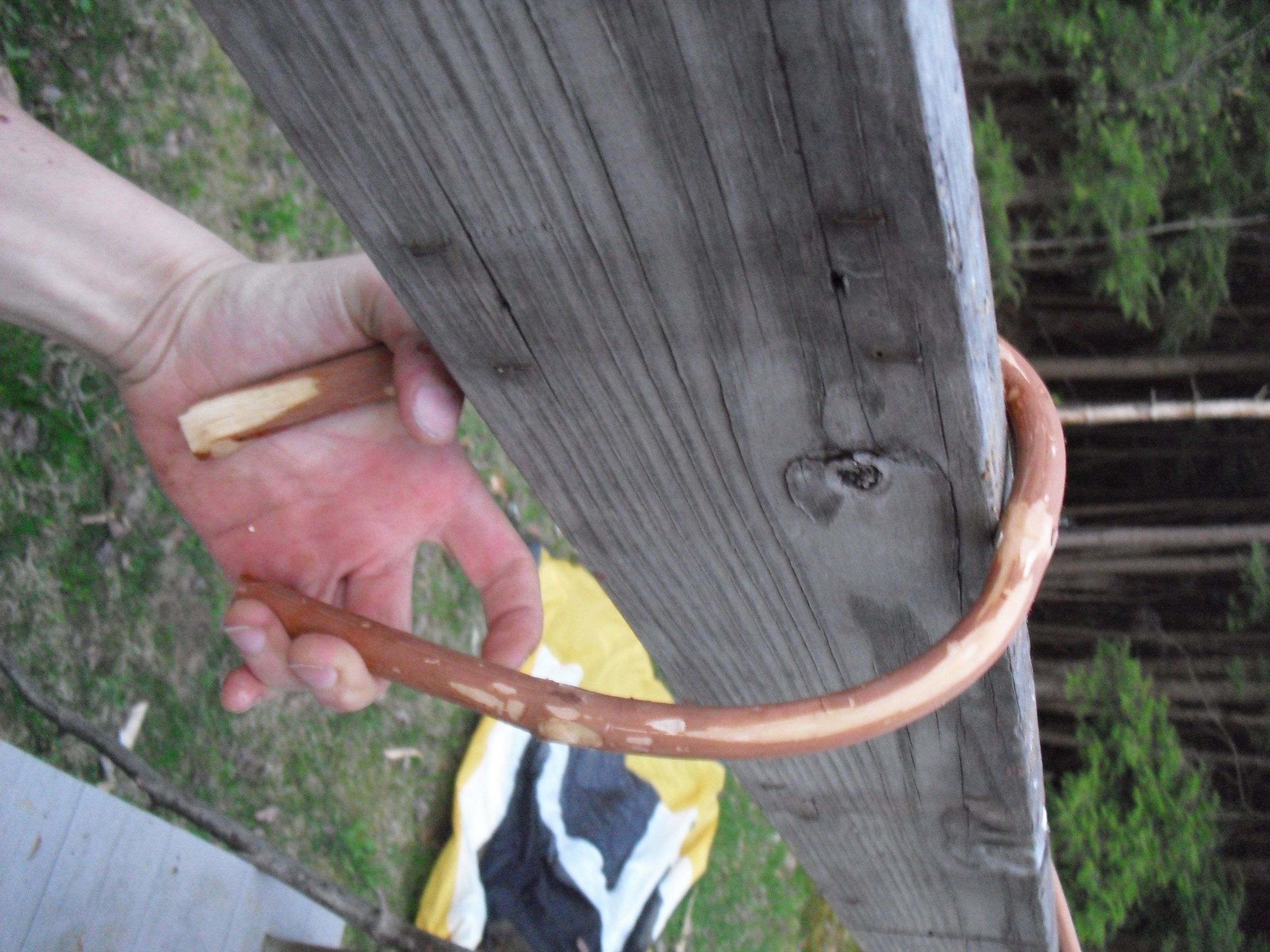 Wild Grape Vine Cordage