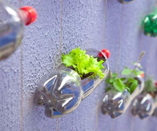 PLASTIC BOTTLE:WALL POT FOR PLANTS
