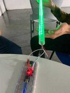 Fotografías Del Proceso: