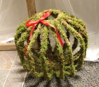 Mossy Lamp Frame