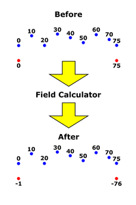 More Extracted Vertices and Field Calculating!