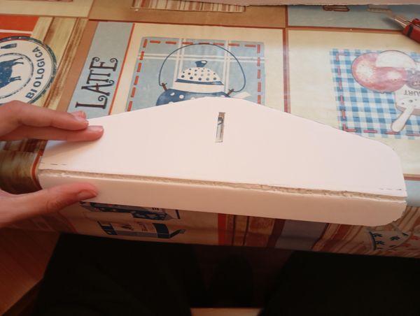 Lightweight Foamboard RC Glider: Build Your Own Remote-Controlled Plane ...