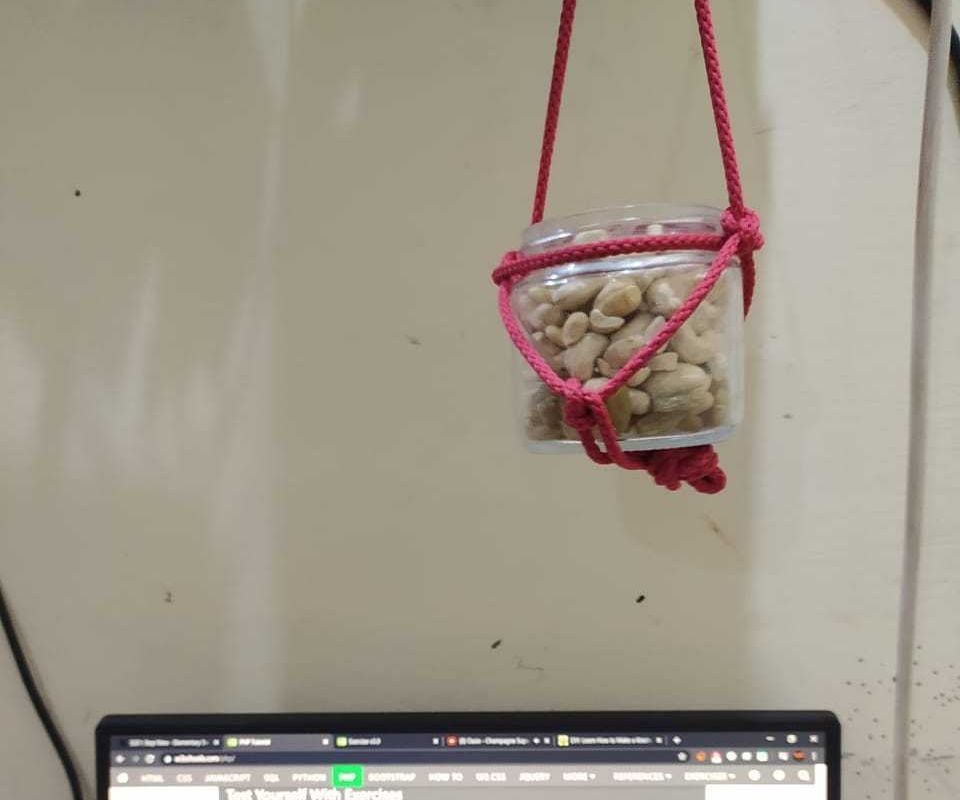 Easy DIY Snack Holder