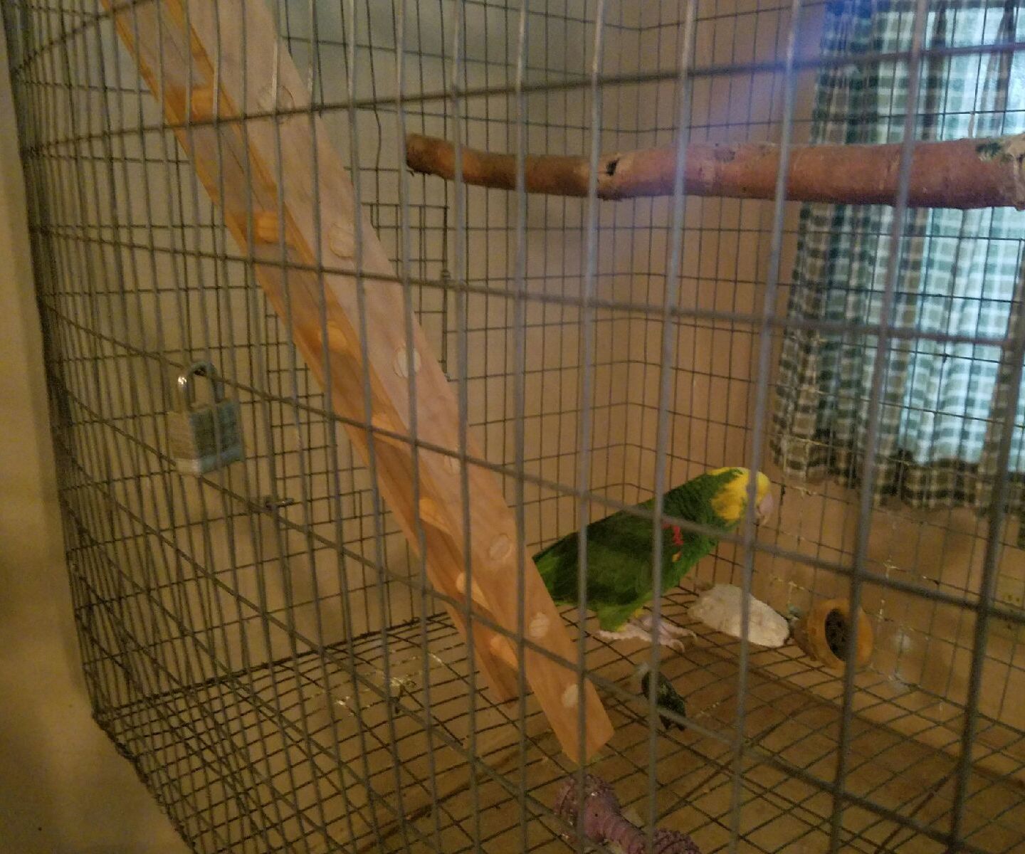 Wooden Birdcage Ladder