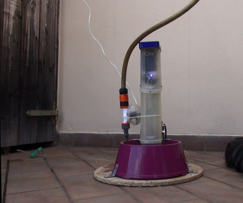 Drinking Dog - Dogs Watering and Spying System