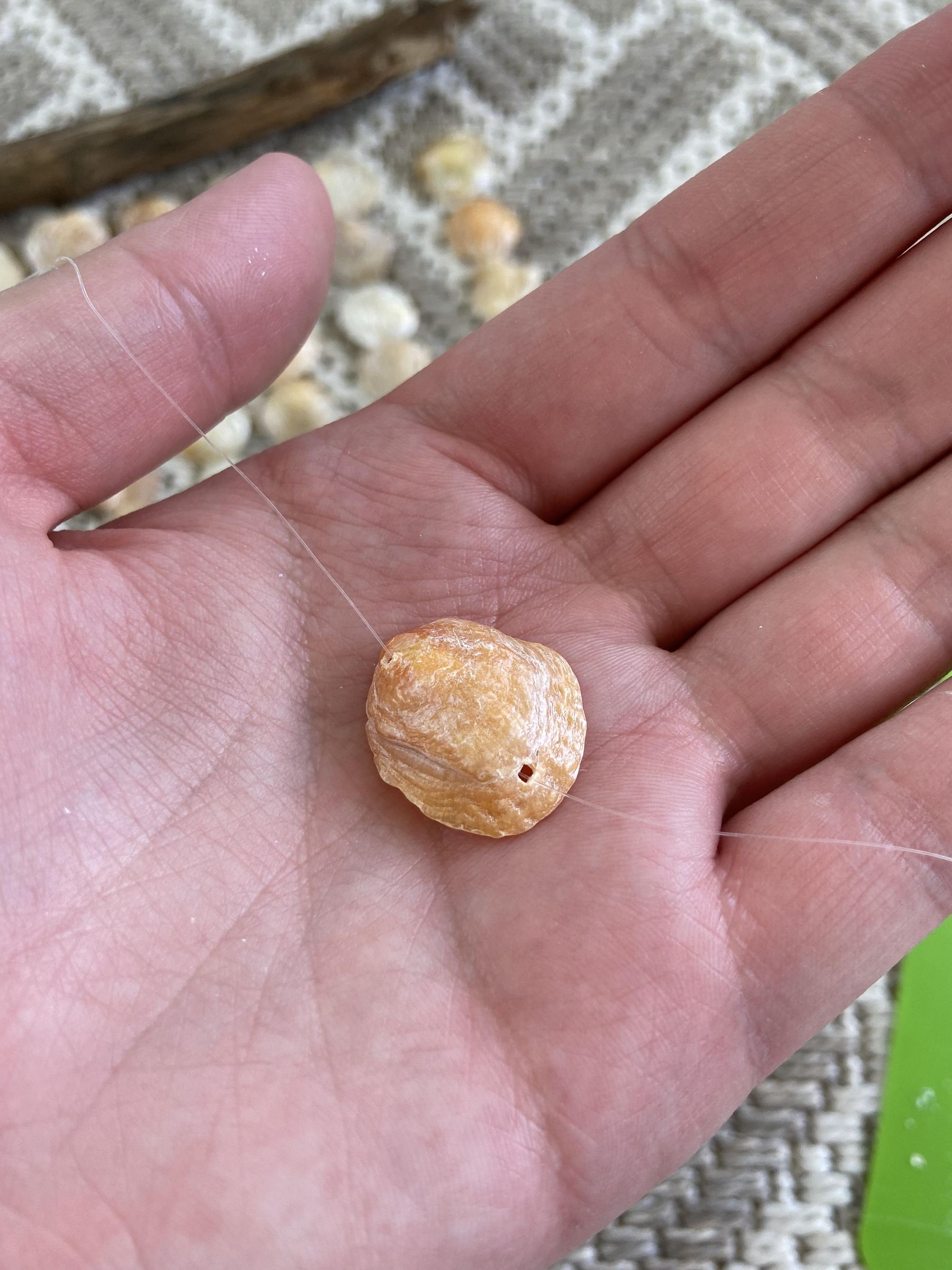 Seashell Wall Hanging : 6 Steps (with Pictures) - Instructables