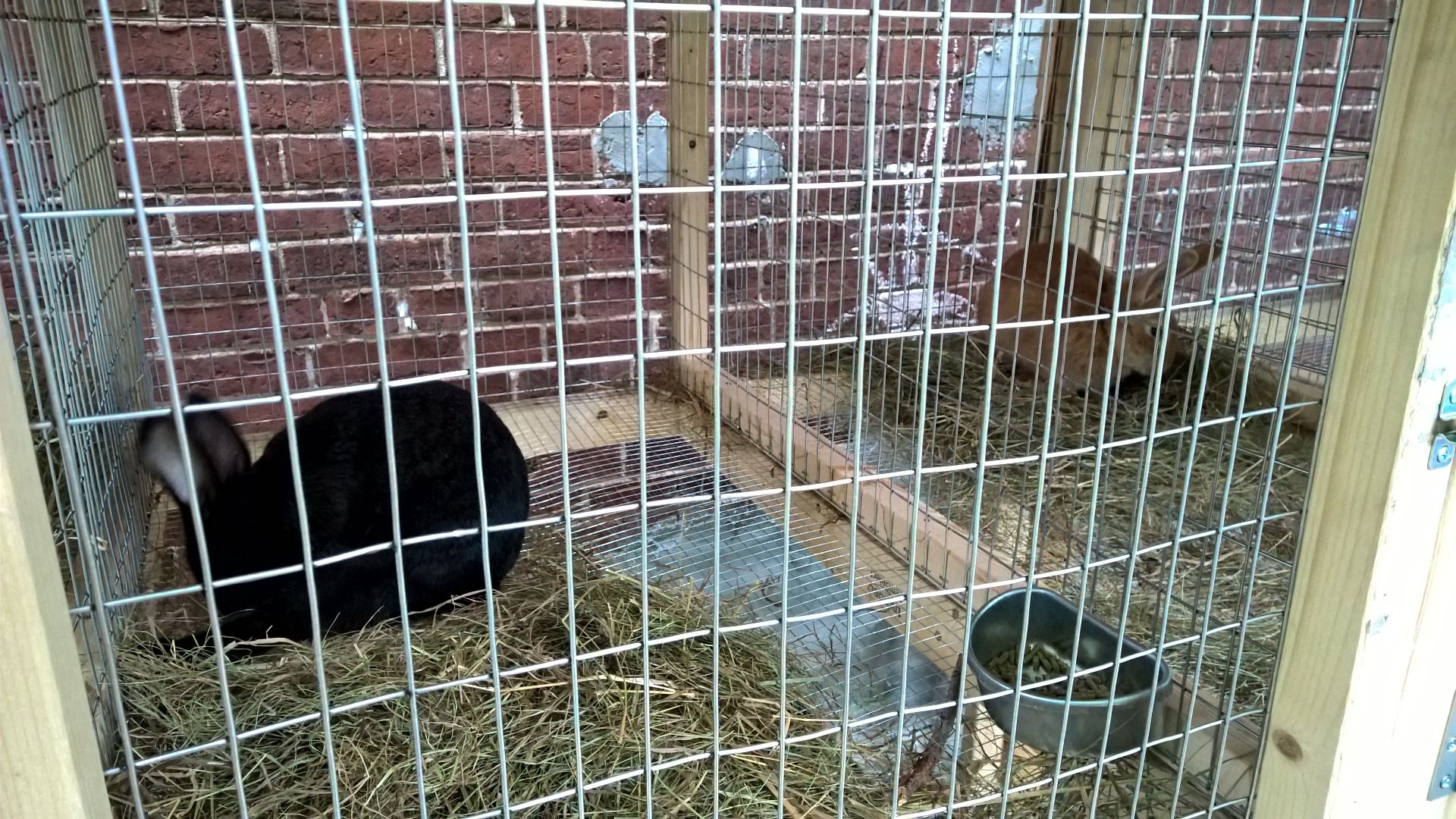 Building a Sectional Rabbit Hutch 12 Steps (with Pictures
