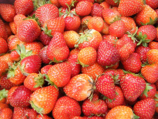 Strawberries (Photo Contest Red Week)