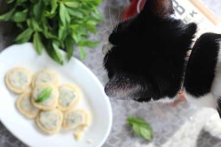 Bake Cookies