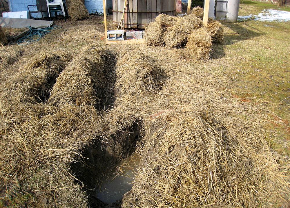 Raised Bed for Wet Backyard
