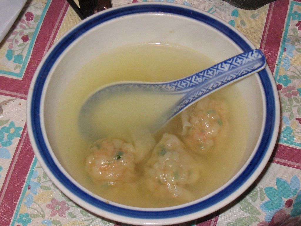 Shrimp Won Ton!