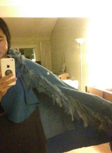 Make the Cape and Attach Feathers