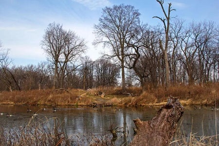 Choosing the Site Location