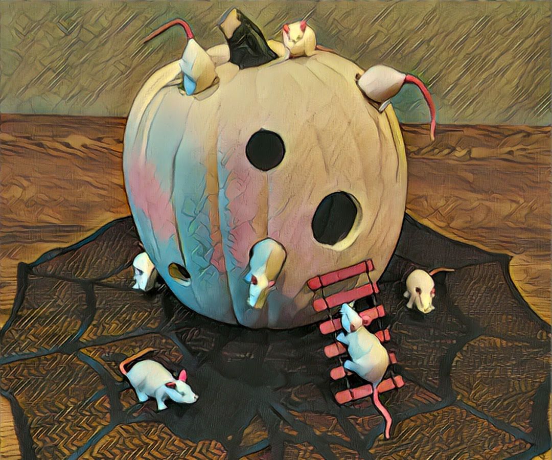 Swiss Cheese Mouse House