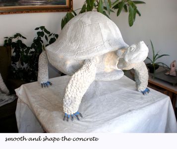 Apply the Concrete to the Shell and Carapace