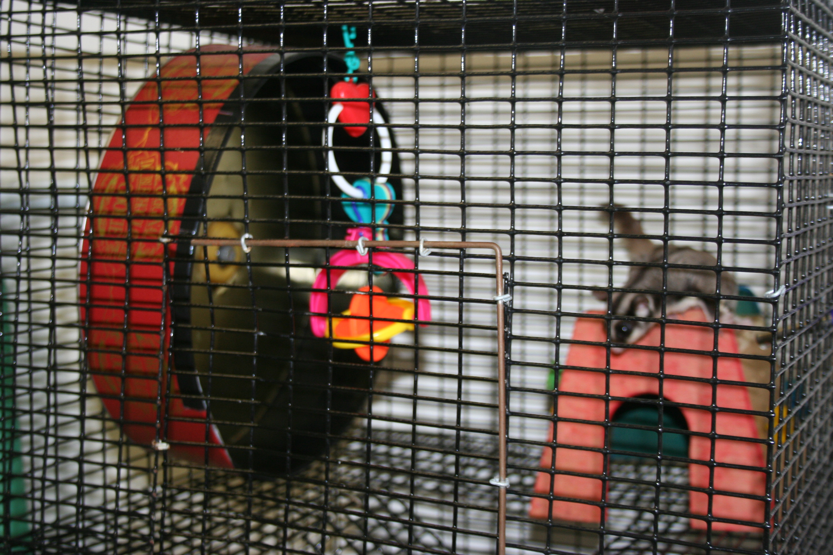 How to Make a Pet Exercise Wheel 5 Steps (with Pictures) Instructables