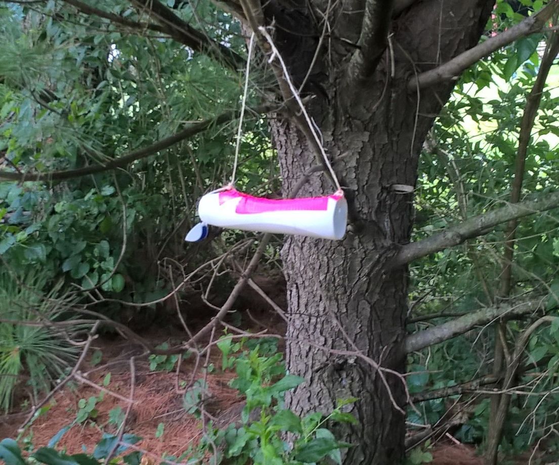 A Shampoo Bottle Bird Feeder