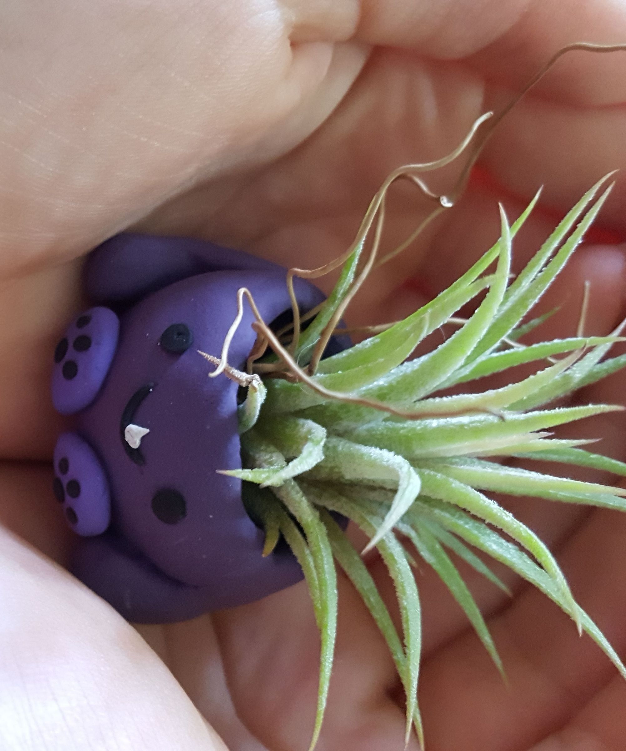 Tiny Flowerpot Monster