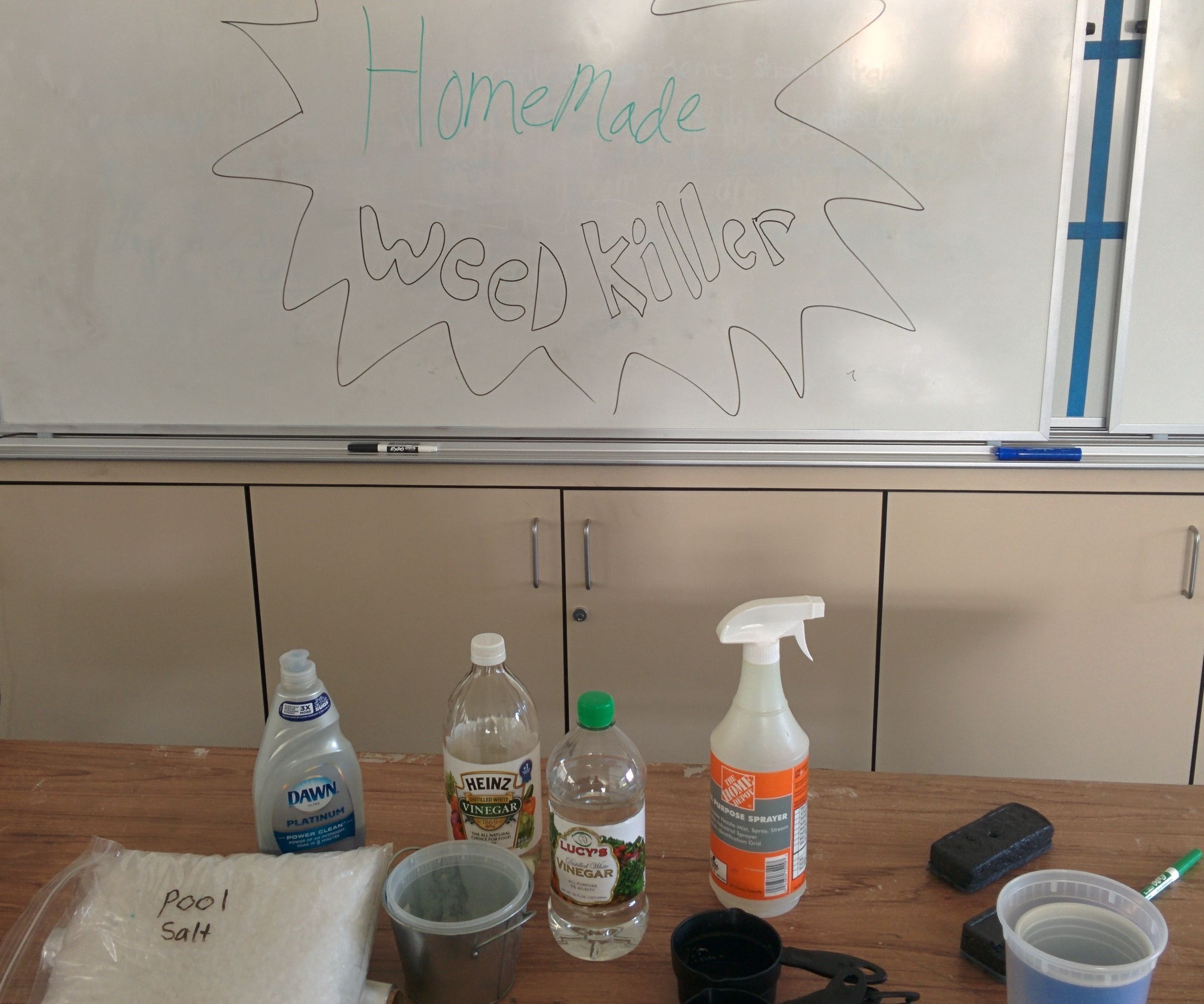 Homemade Weed Killer