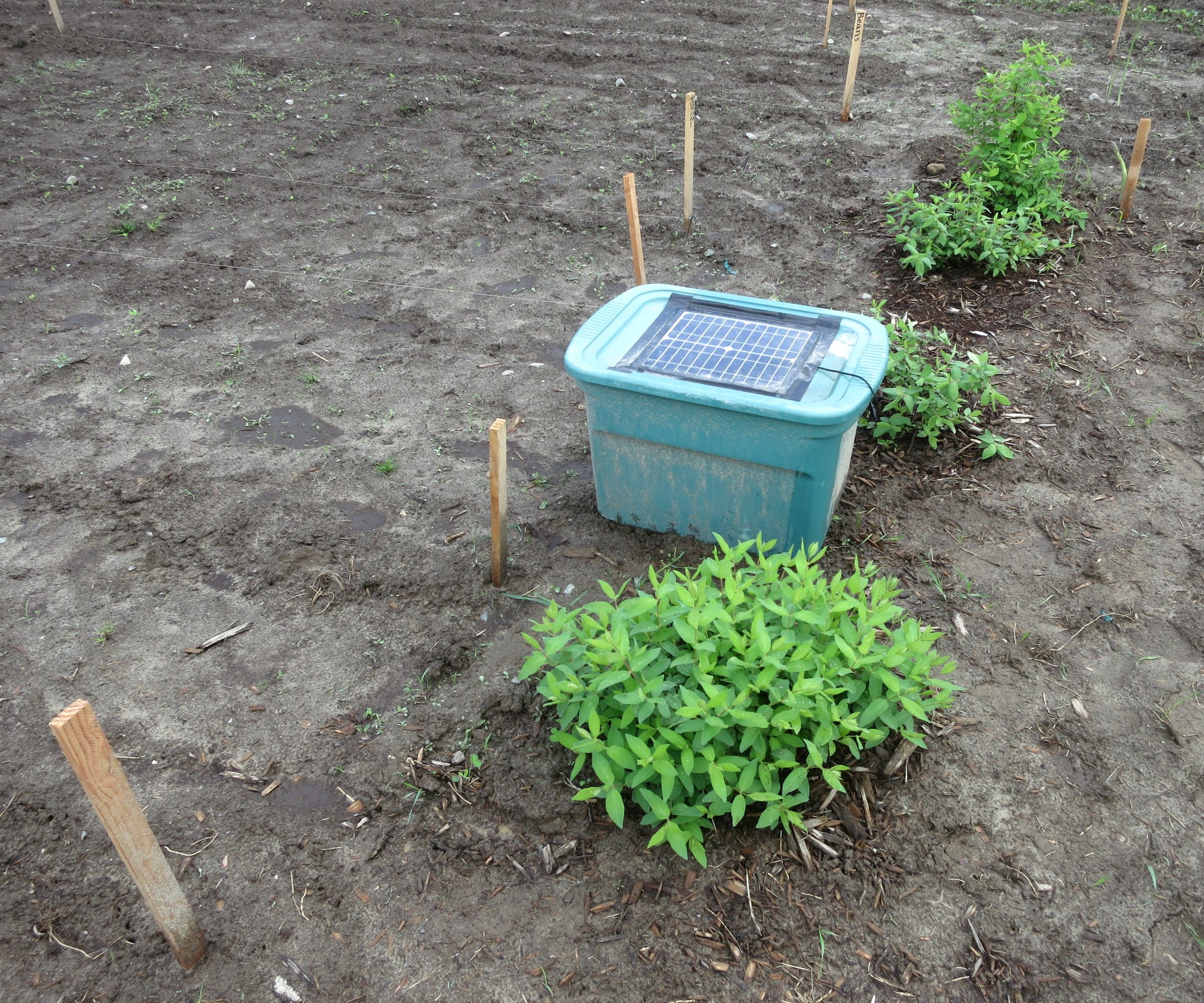Deer Deterrent / Repeller for Your Garden Using a Solar Powered Mp3 Player to Play a Person Talking