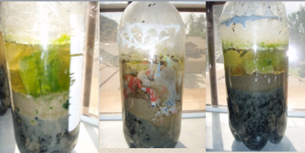 How to Isolate Plastic Degrading Bacteria From Soil!