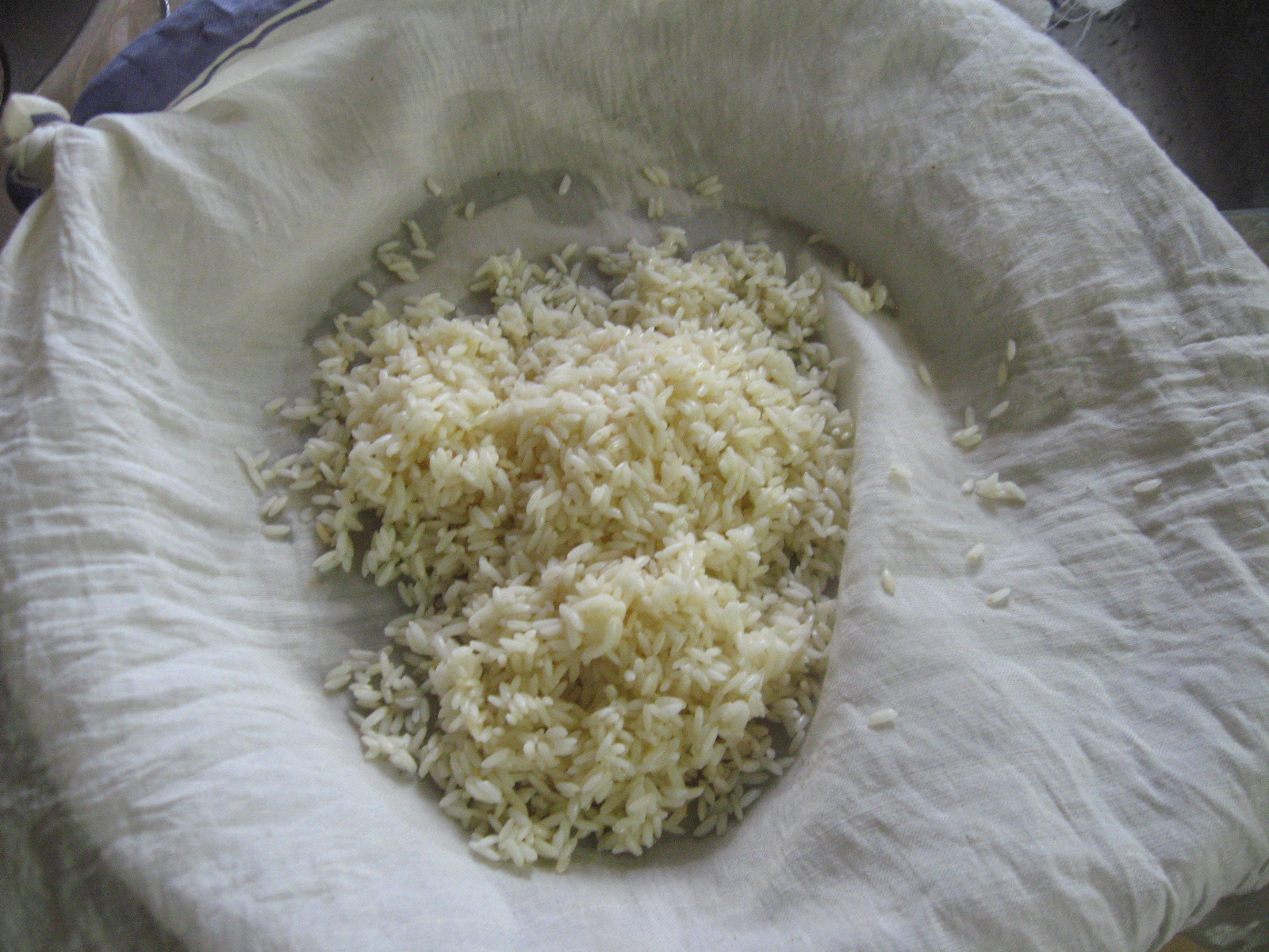 Outdoor Cooking Cooking Rice Inside Coconut 12 Steps (with Pictures