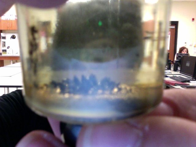My First Ferrofluid