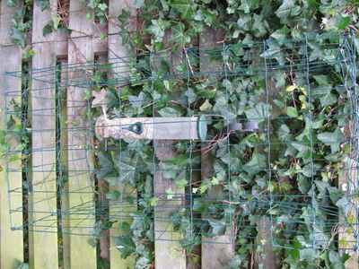 Building a Cage 
