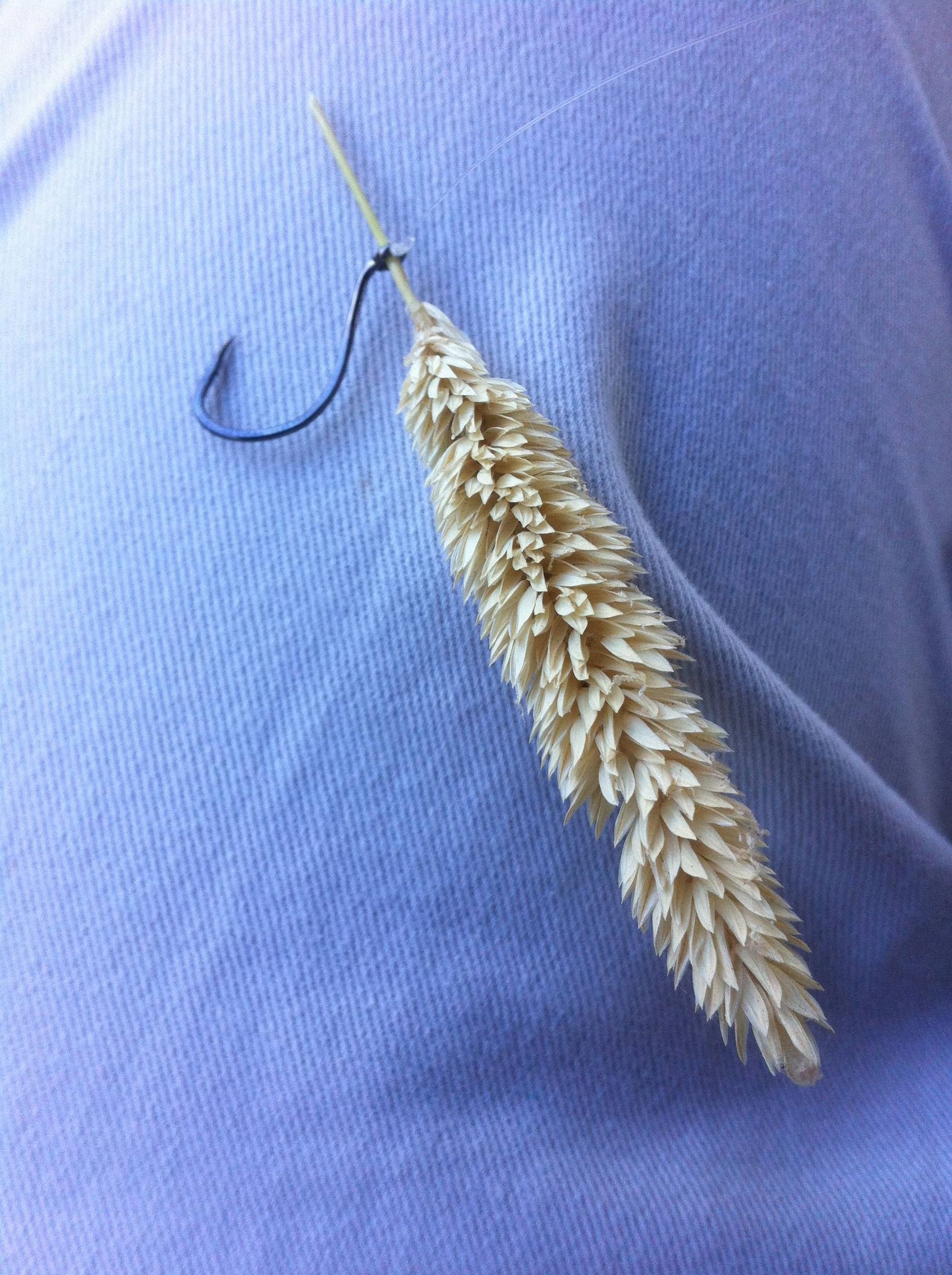 Improvised Fishing Lure for the Desparate Fishermen