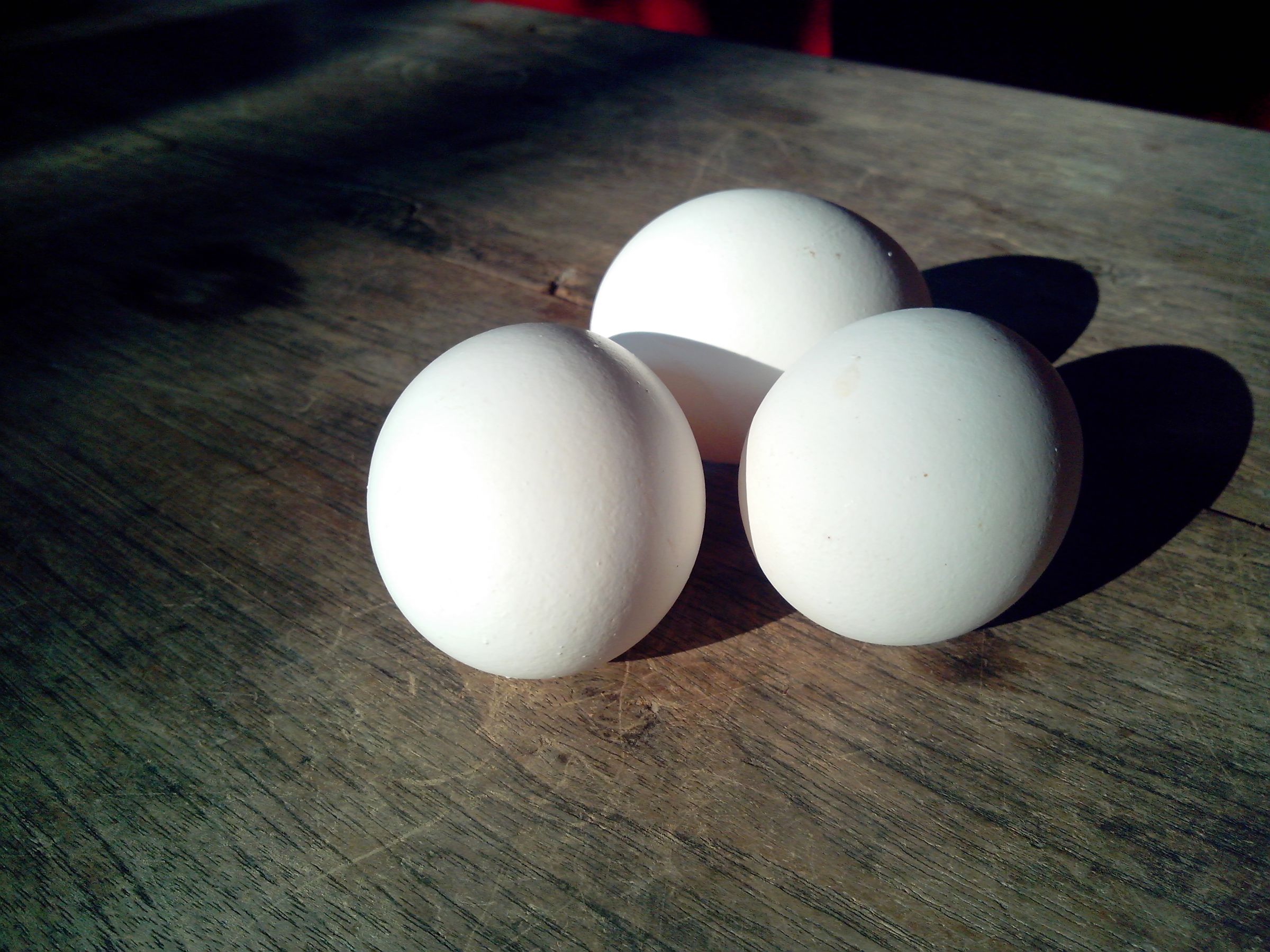 Easiest Way to Separate Egg White. Using a PET Bottle. 6 Steps