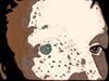 Instructables profile picture for @Tense