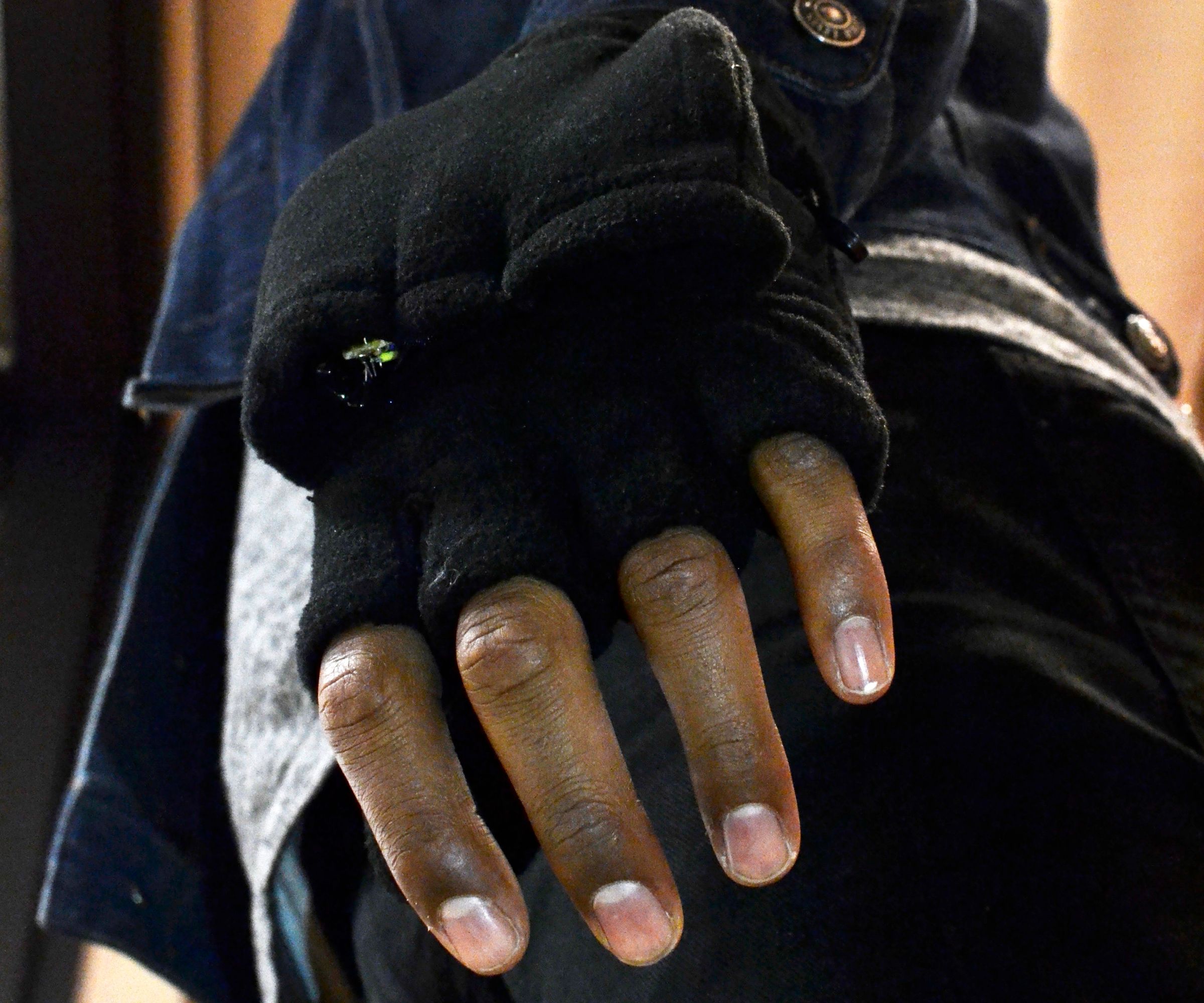 Hidden Digital Audio Recorder: Hands Up, Don't Shoot