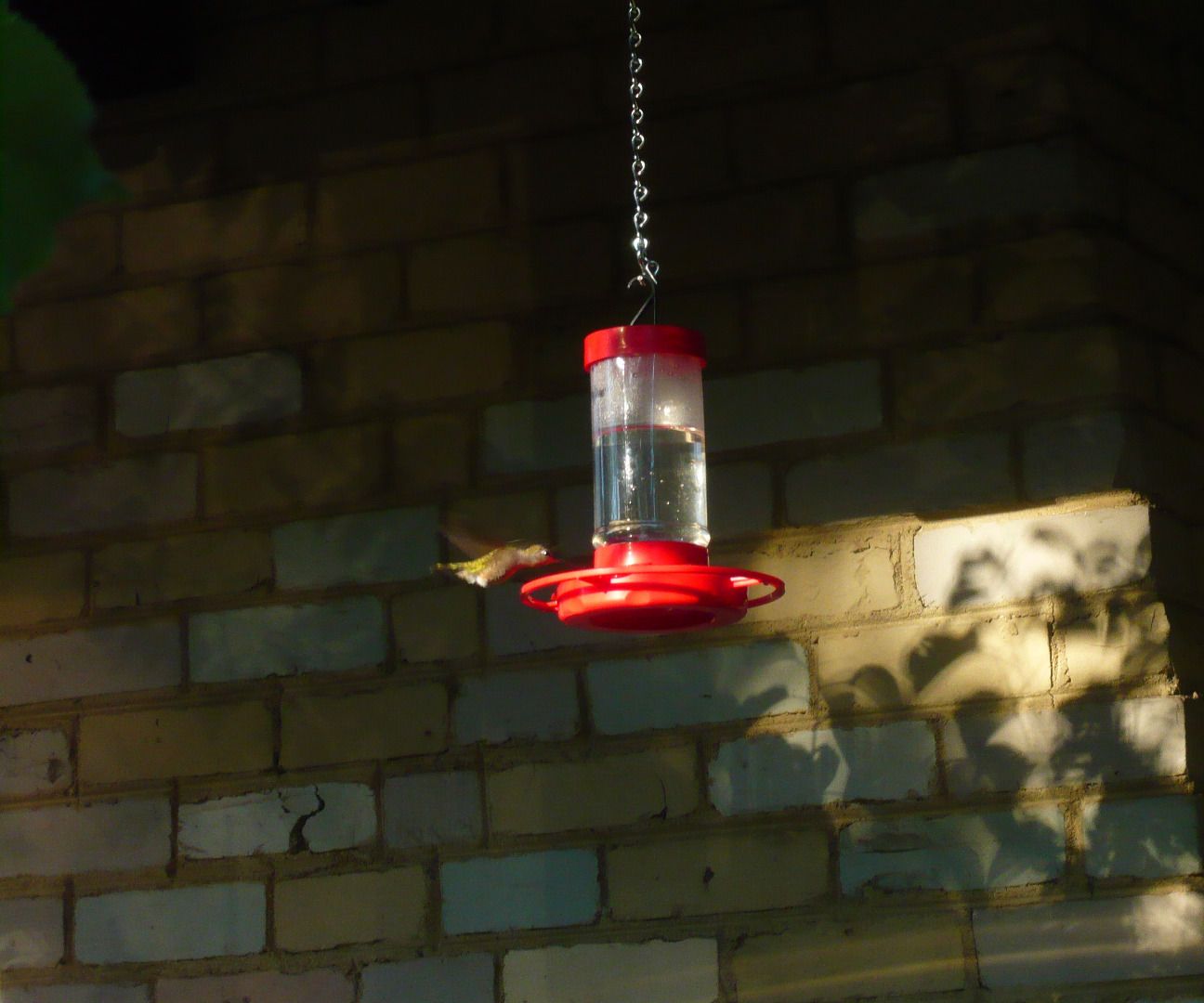 Inexpensive Hummingbird Feeder Fix