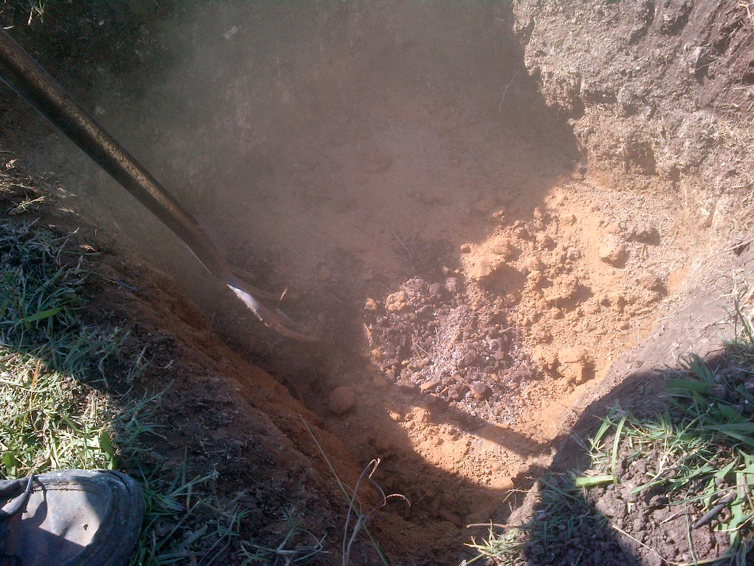 Planting Tree Ellen White Way (EGW) 11 Steps Instructables