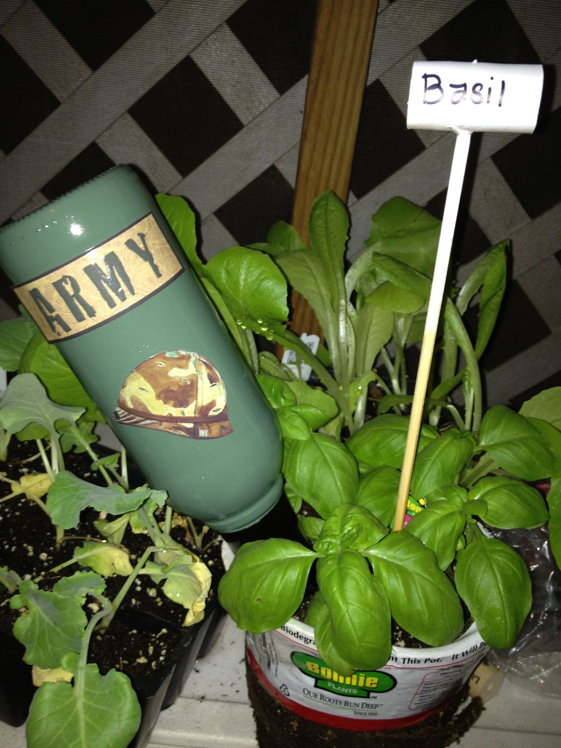 Red Neck Watering Globe
