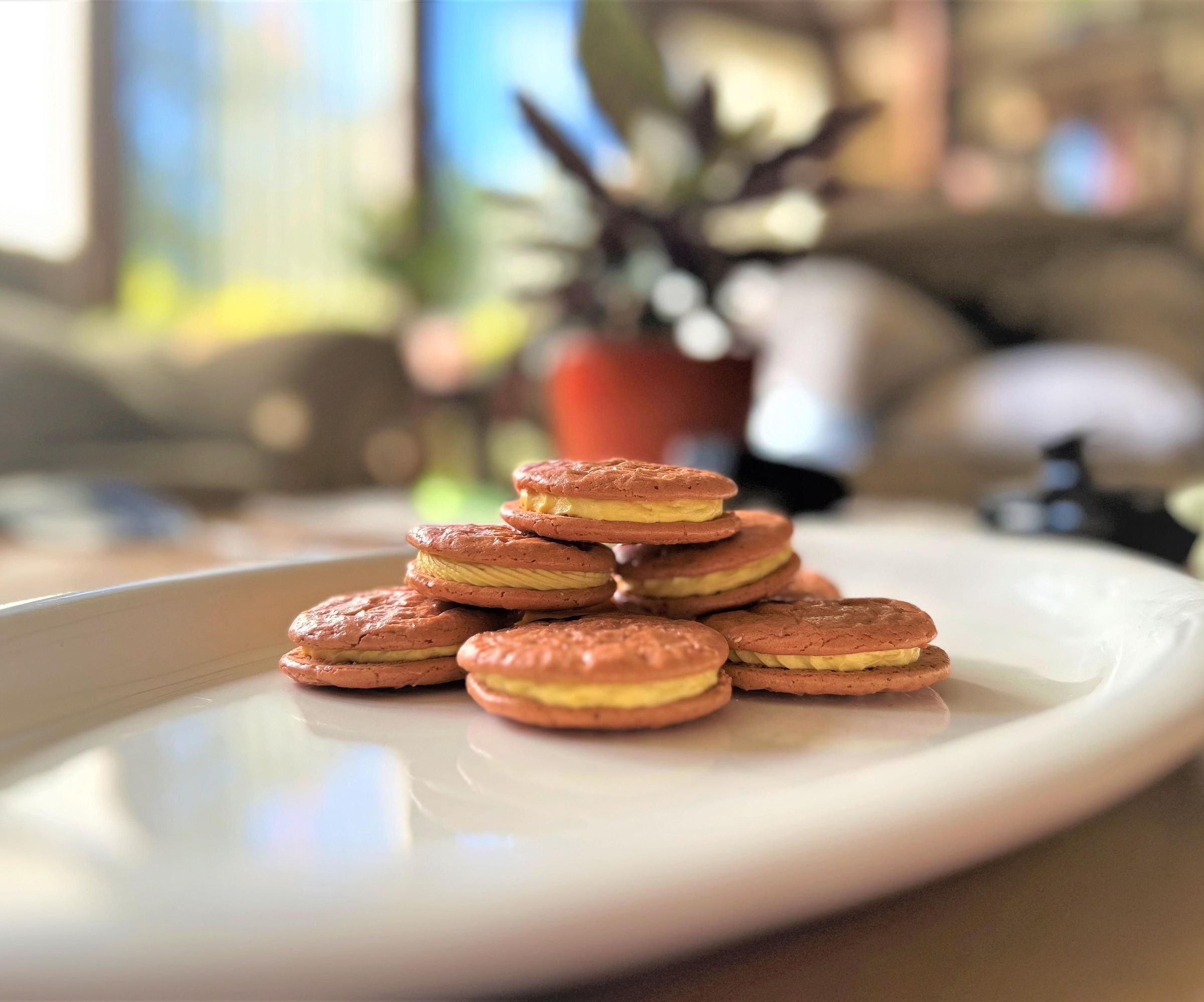 Homemade French Macarons
