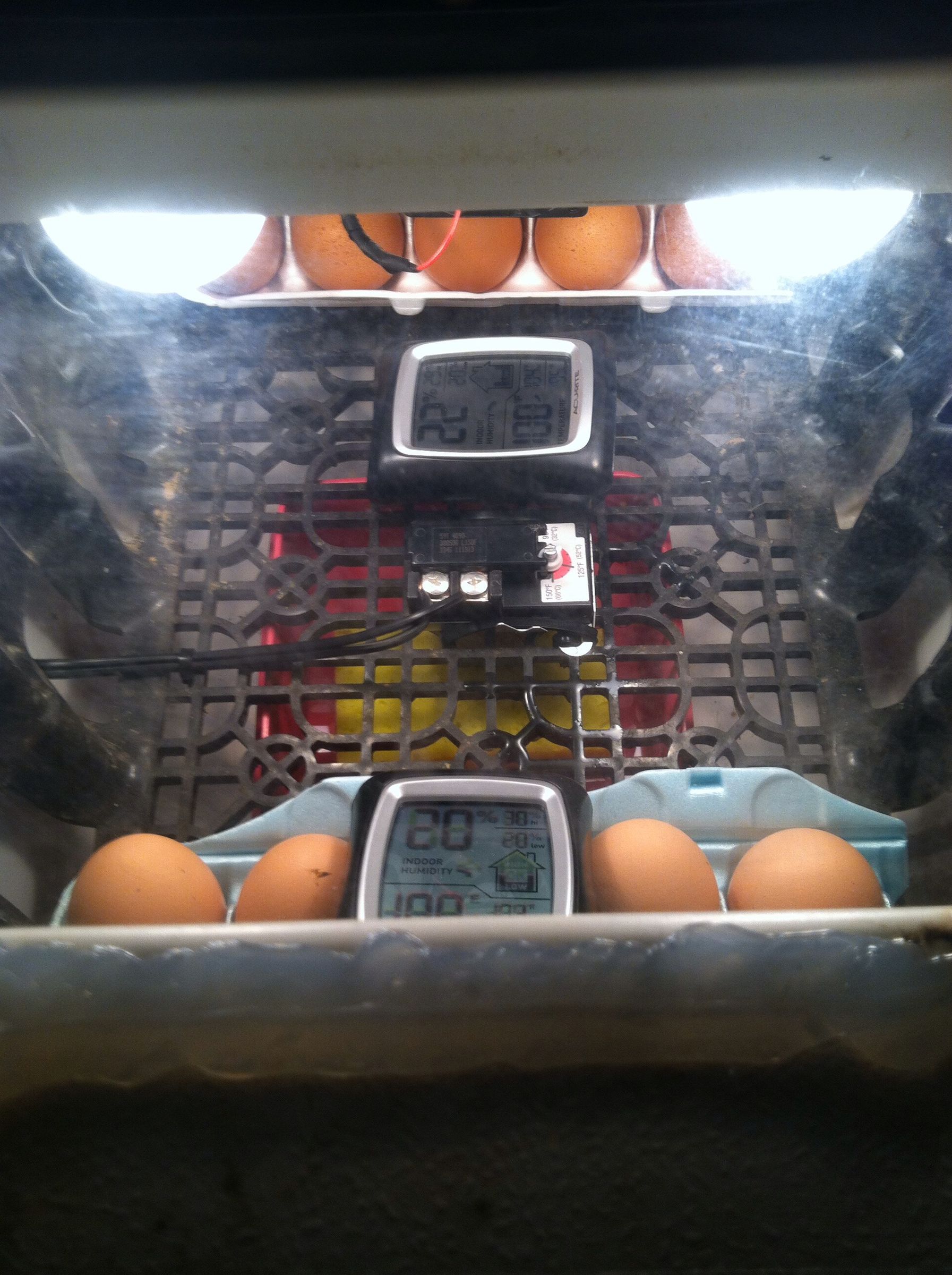 Cooler Incubator